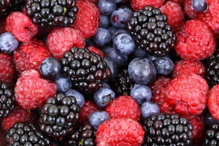Image of blueberries, blackberries and raspberries on the National Personal Training Institute website
